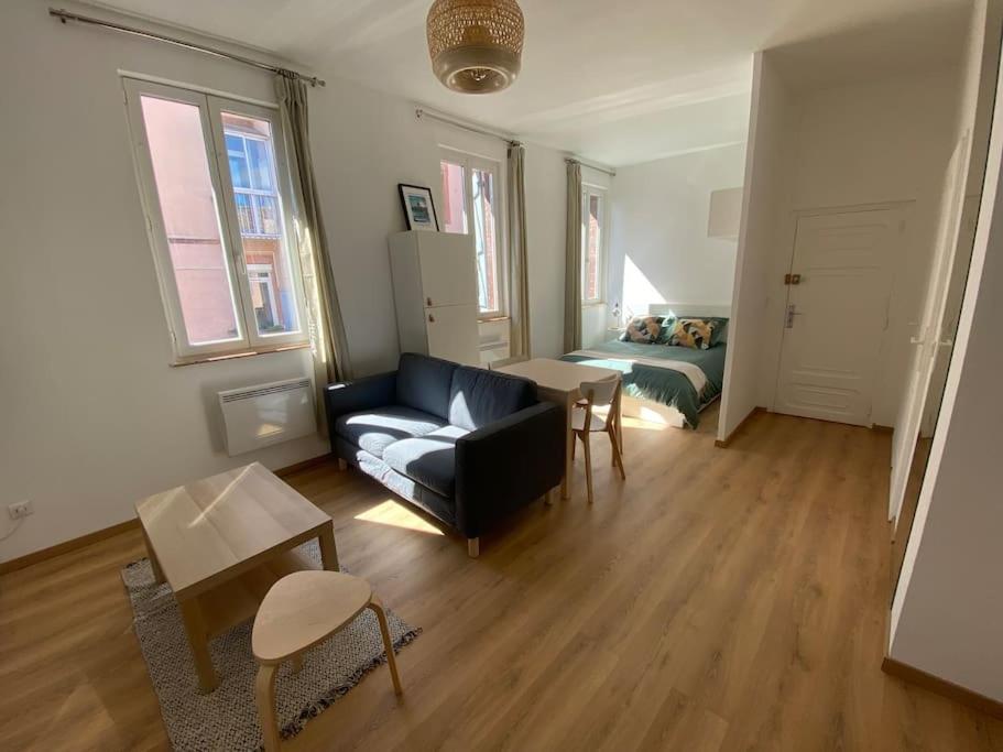 Apartmán Le Petit Minimes Au Bord Du Canal Du Midi Toulouse Exteriér fotografie