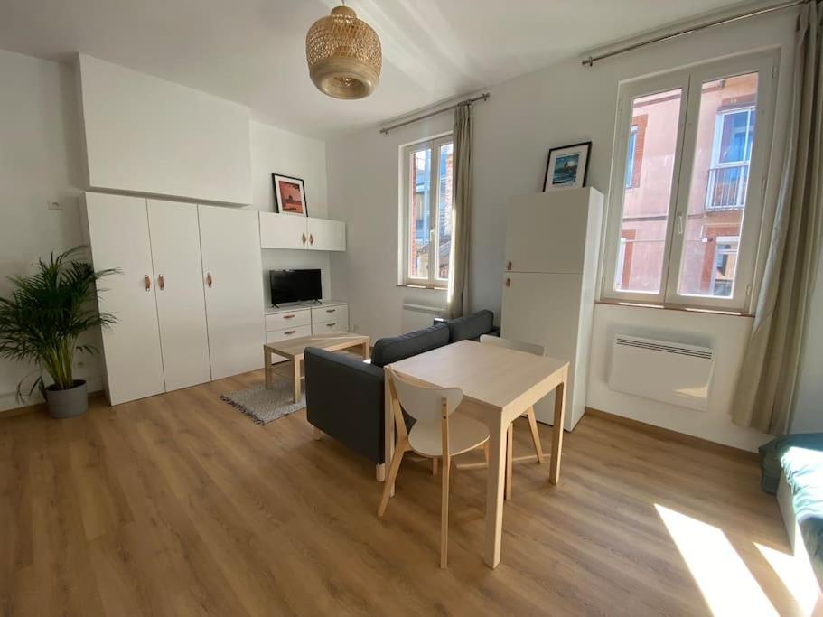 Apartmán Le Petit Minimes Au Bord Du Canal Du Midi Toulouse Exteriér fotografie
